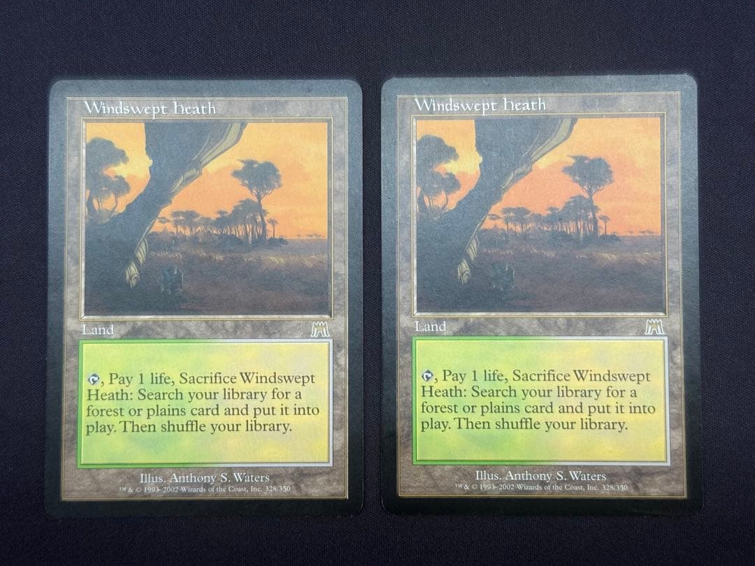 吹きさらしの荒野 ONS 旧枠英語版 ②枚set