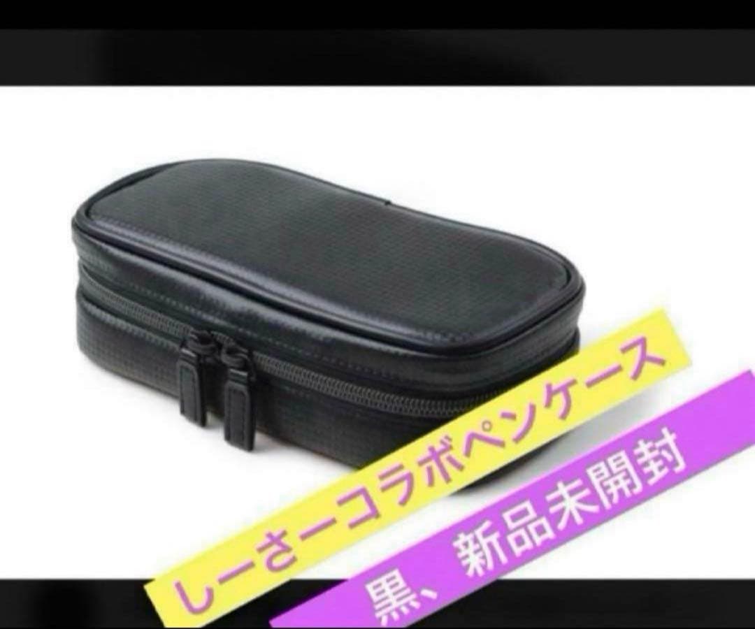 ノーマディック しーさー 【SY-01】黒 シークレットエグゼクティブペンケース