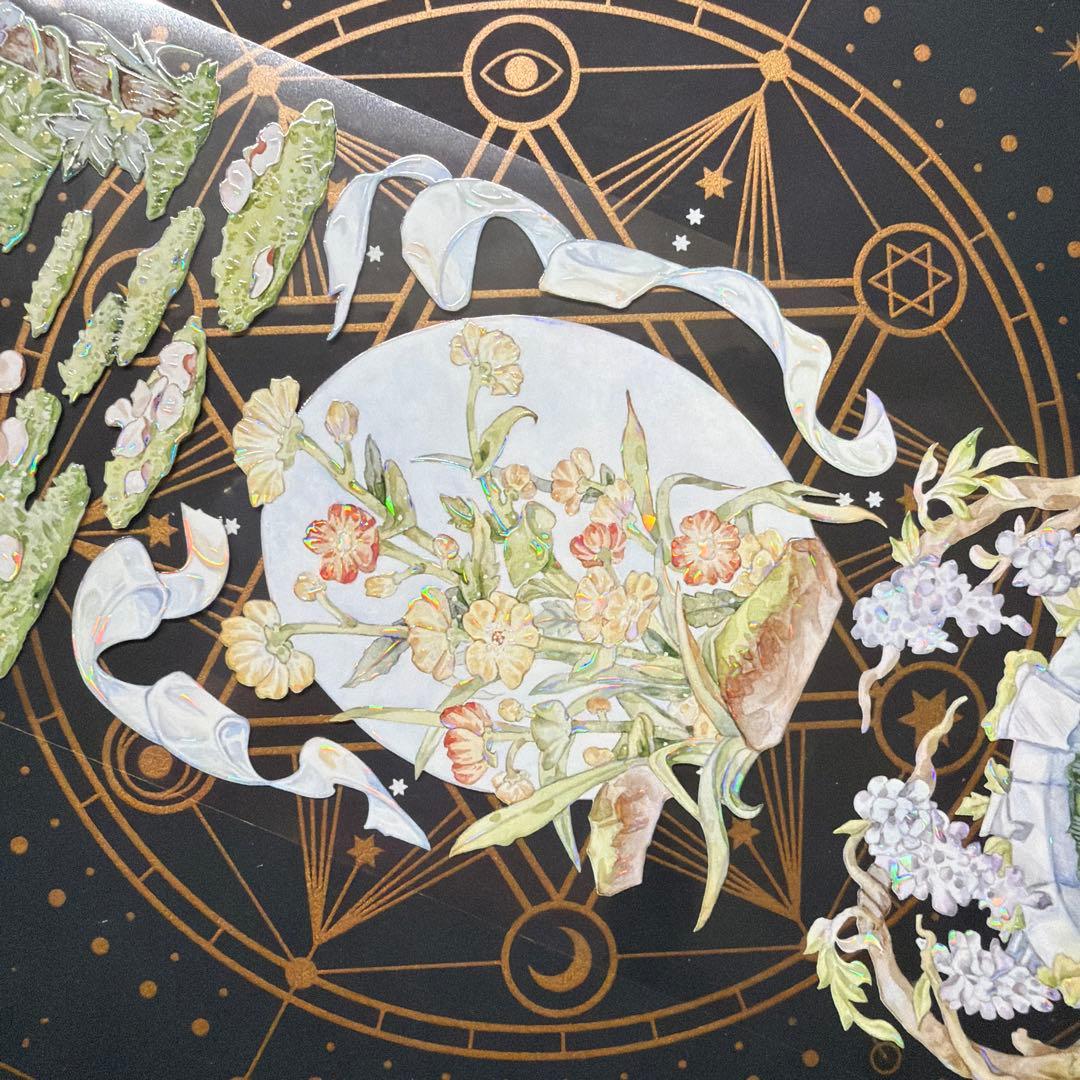 【8955】海外　マステ　中古巻　貝殻光マスキングテープ　背景系