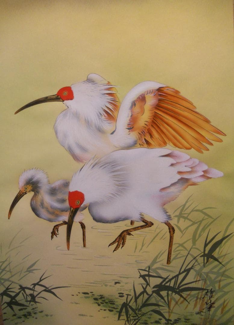 掛け軸 関口雄峯 朱鷺之図 トキ 絹本 希少 軸装 茶道具 掛軸 美品 です。