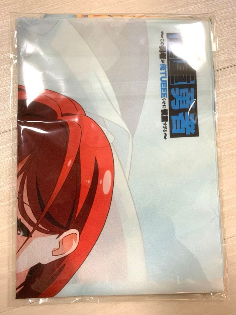 慎重勇者　布ポスター　B2 購入特典　アニメイト