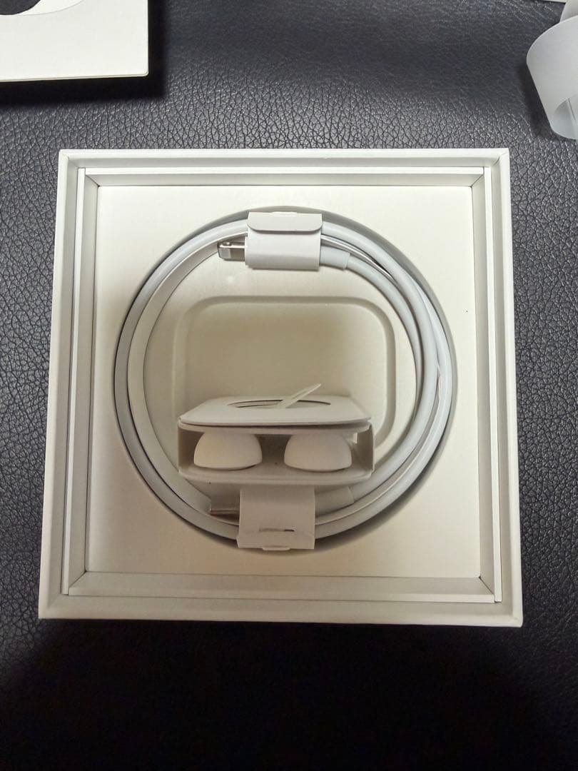 AirPods Pro 2nd generation 本体 Lightning