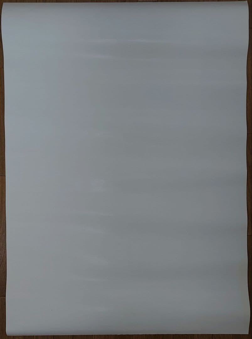 【非売品】カプコン ストリートファイターZERO3 B1ポスター