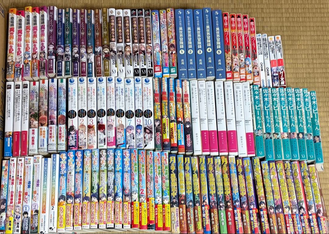 11/3迄　ポテラノドン様用 1/2個口 書籍セット