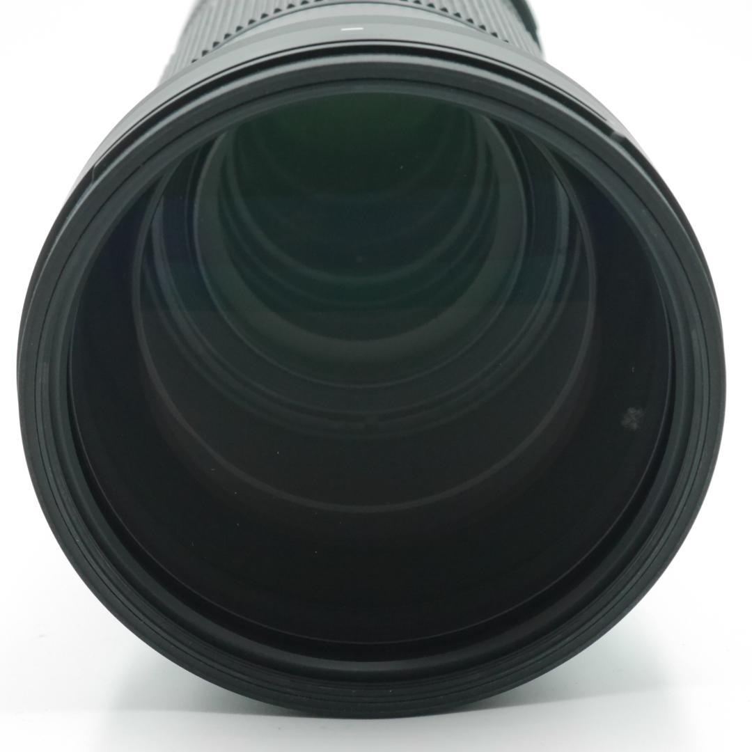 サウスゲート様 シグマ 150-600mm F5-6.3