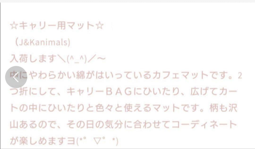 Ｊ＆Kanimals　カフェマット　はるちゃん　完売品