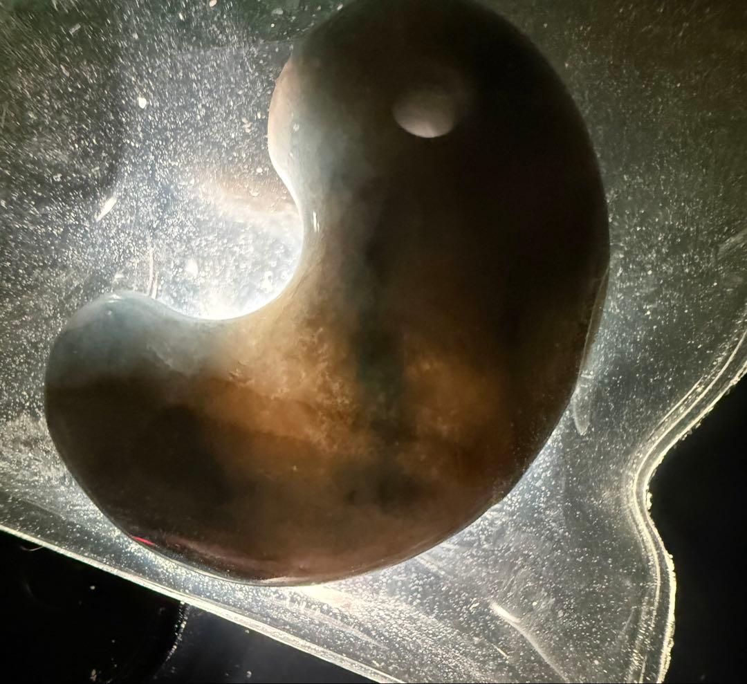 入りコン沢産‼️高品質インクブルー‼️激安‼️これ以上の値引きはいたしません‼️