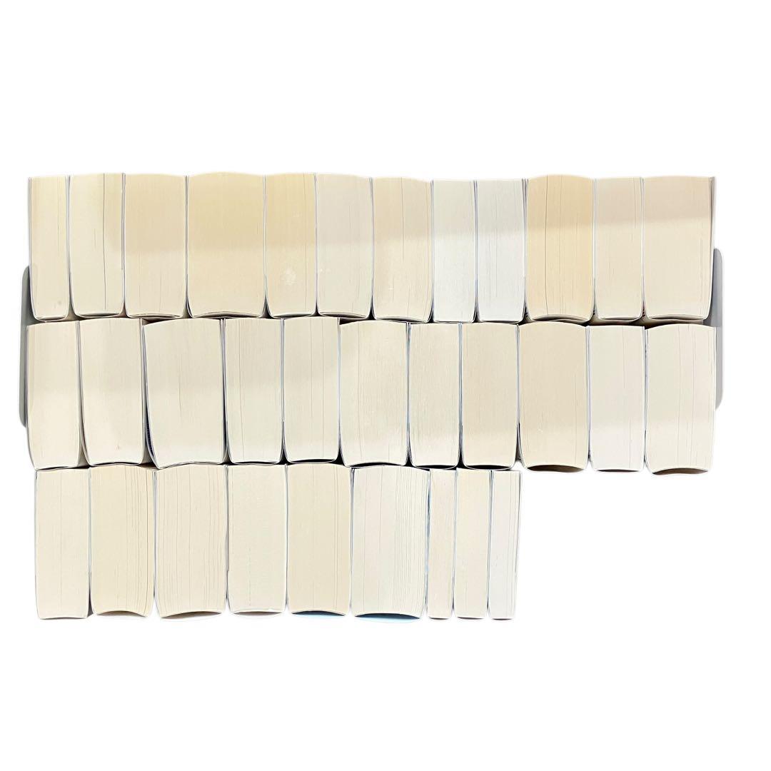 境界線上のホライゾン 全29巻+ガールズトーク3巻　全巻セット　計32冊【良品】