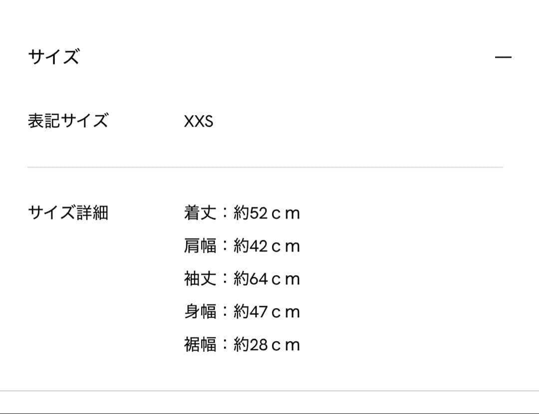 balenciaga Worn out zip upジップパーカー