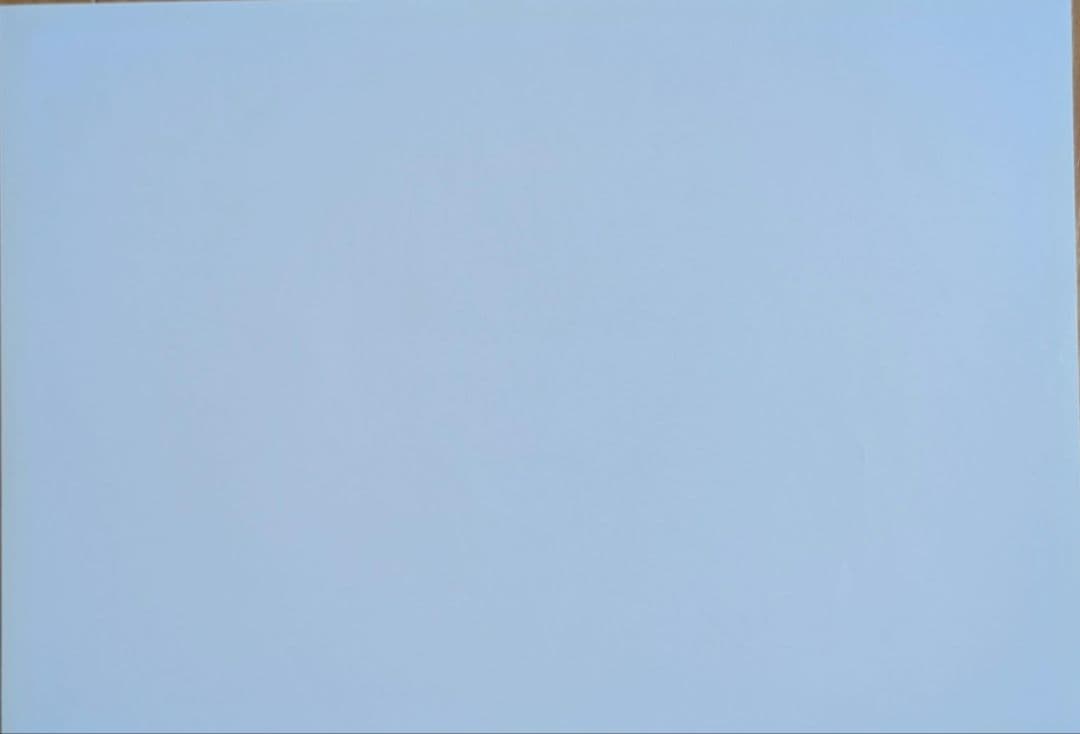 Fate stay night　ギルガメッシュ　ランチョンマット　2点