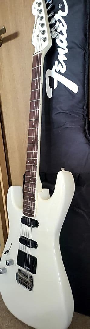 FERNANDES THE FUNCTION CUSTOM BODYエレキギター