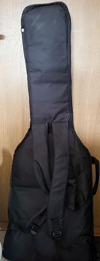 FERNANDES THE FUNCTION CUSTOM BODYエレキギター