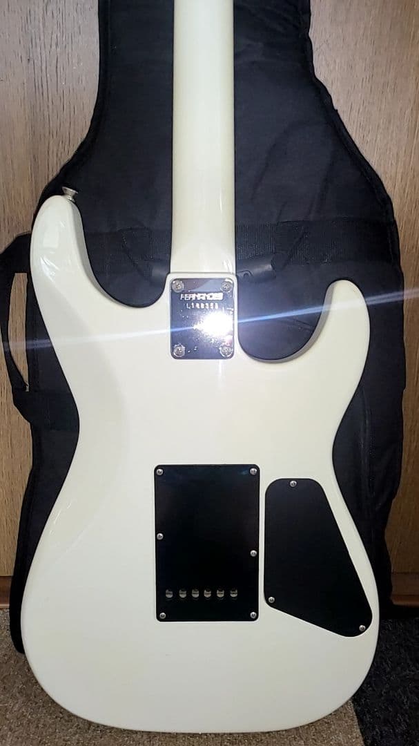 FERNANDES THE FUNCTION CUSTOM BODYエレキギター