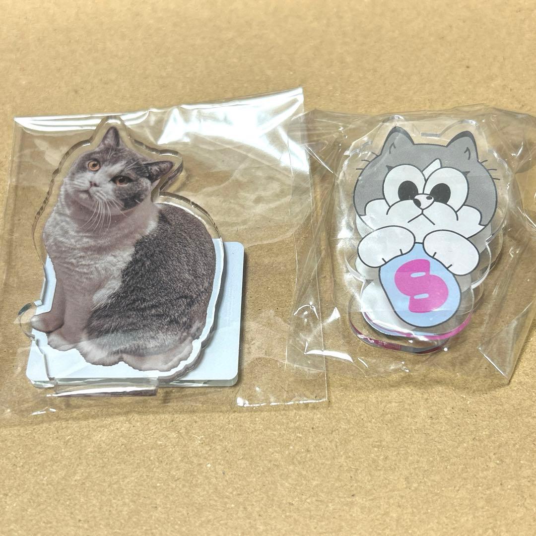 アリス九號. 将　　アクリルスタンドセット