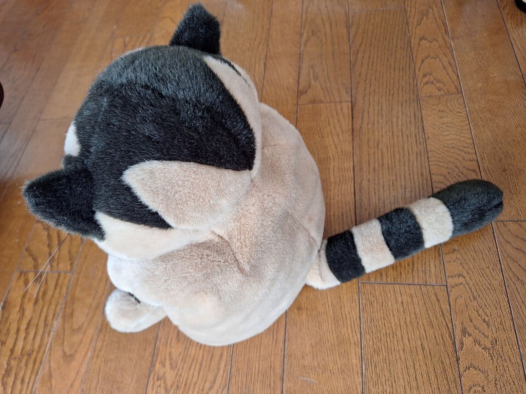 猫のヤーコプ　セキグチSEKIGUCHI ぬいぐるみ