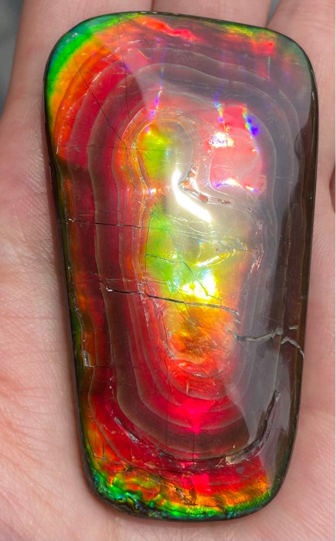 【期間限定セール】アンモライト 天然研磨ルースストーン