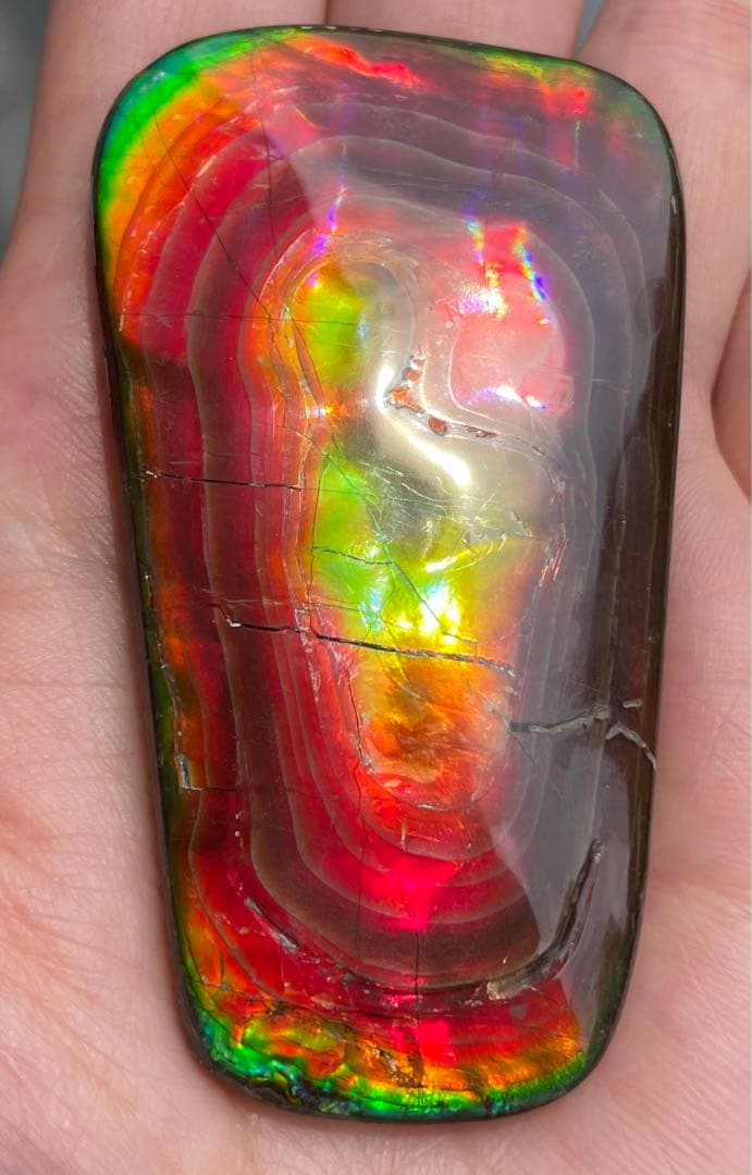 【期間限定セール】アンモライト 天然研磨ルースストーン