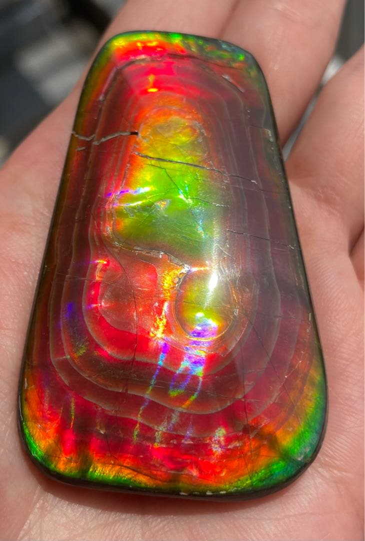 【期間限定セール】アンモライト 天然研磨ルースストーン