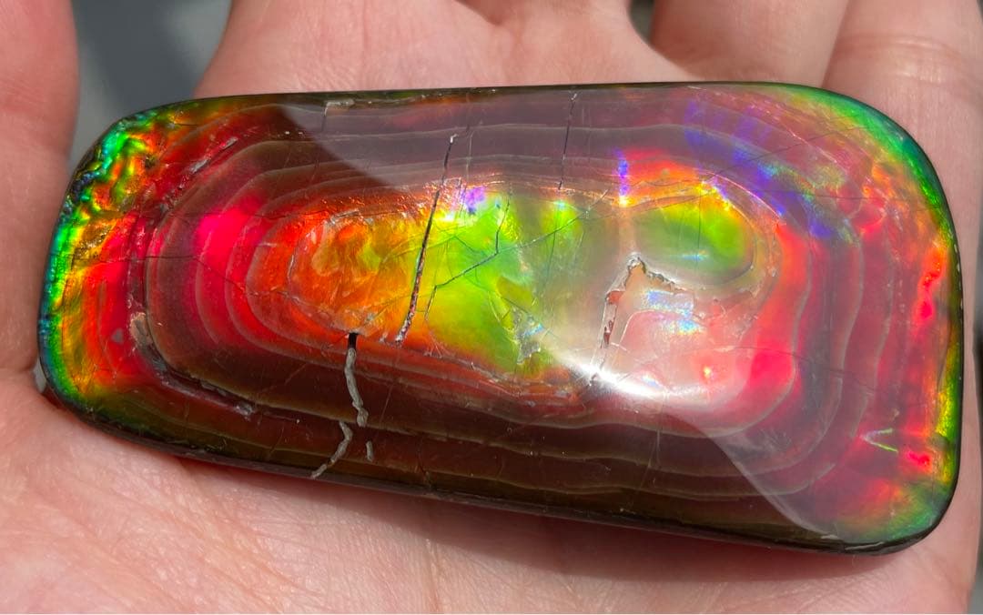 【期間限定セール】アンモライト 天然研磨ルースストーン