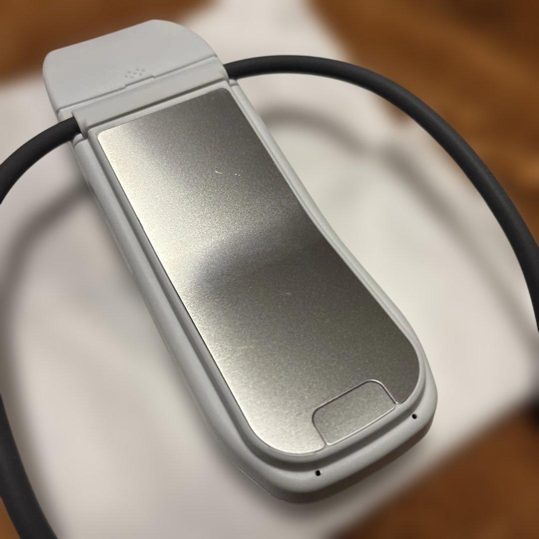 SONY レオン ポケットプロ