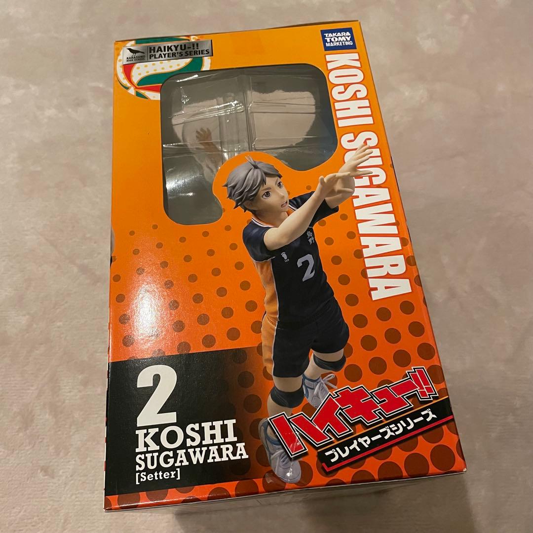 ハイキュー!! プレイヤーズ フィギュア 菅原孝支 1/8スケール 未開封品