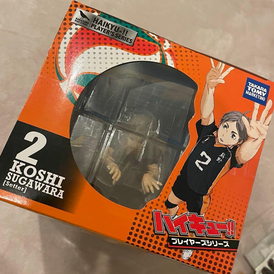 ハイキュー!! プレイヤーズ フィギュア 菅原孝支 1/8スケール 未開封品
