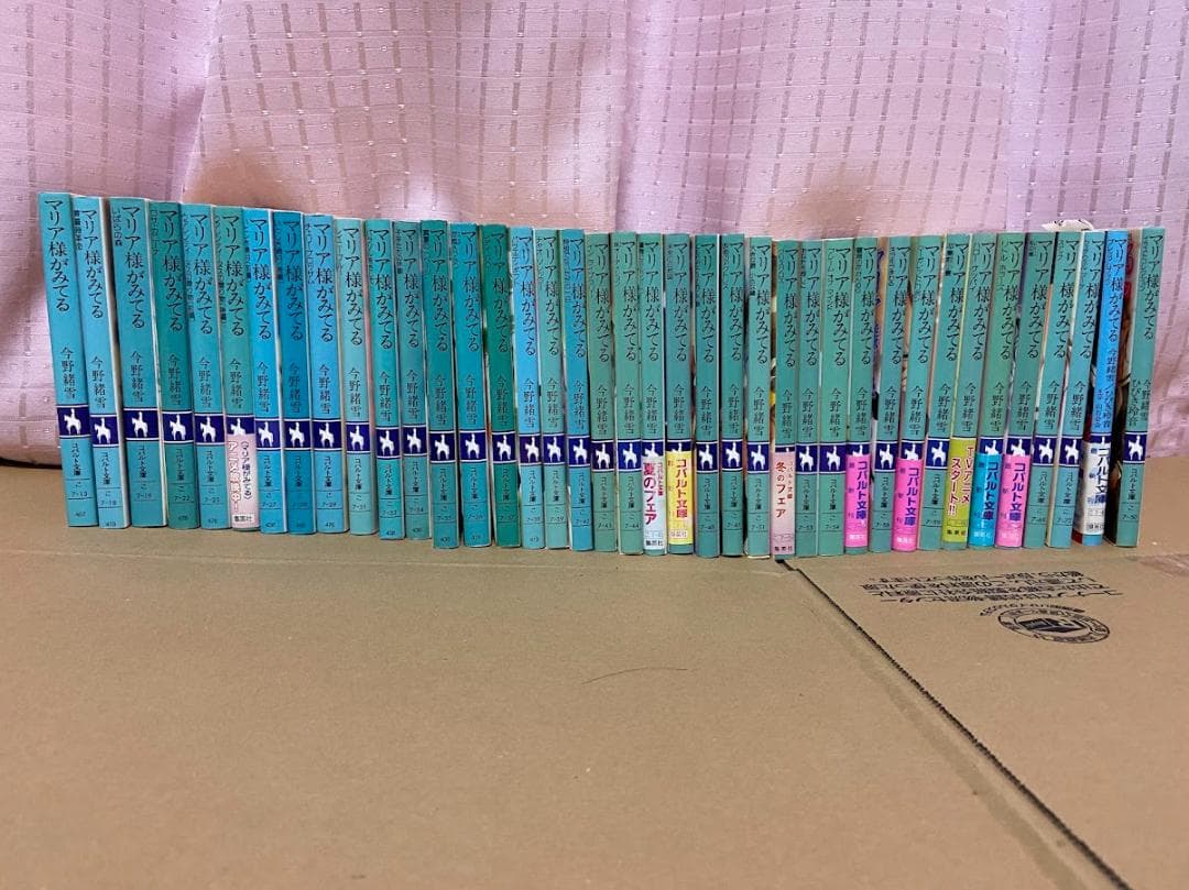 マリア様がみてる 全巻39冊 お釈迦様もみてる9巻