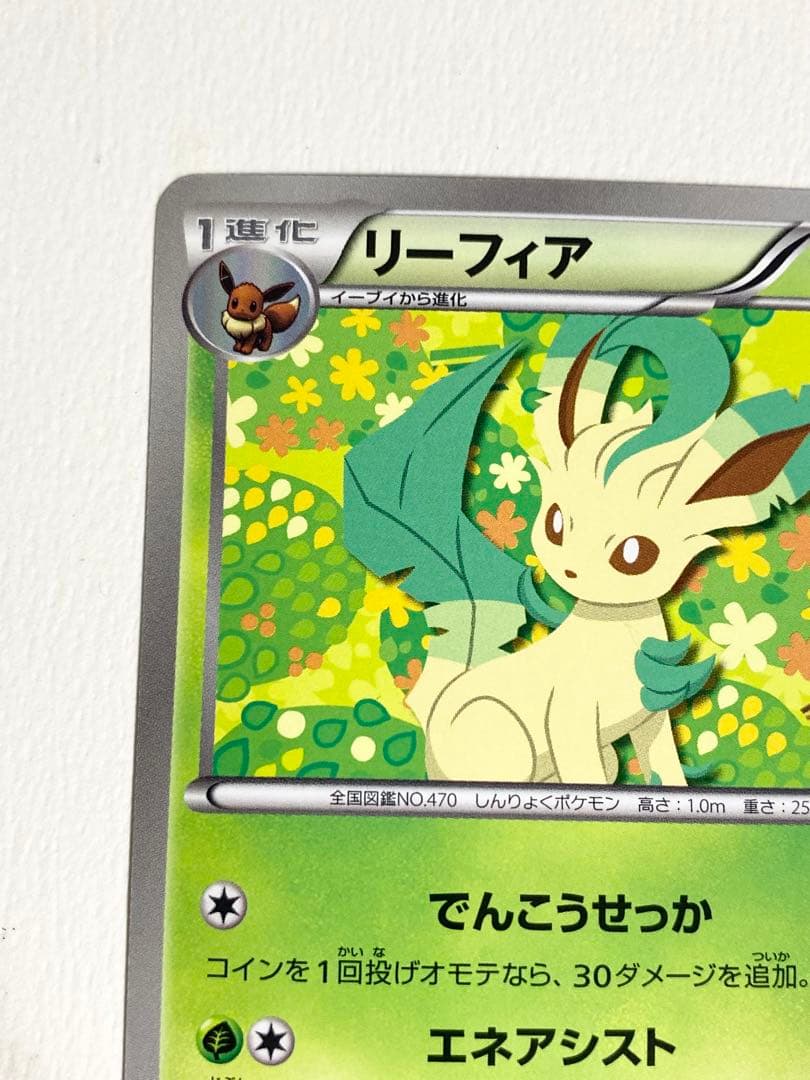 ポケモンカード　bw-p リーフィア　イーブイコレクション　ファイル　プロモ
