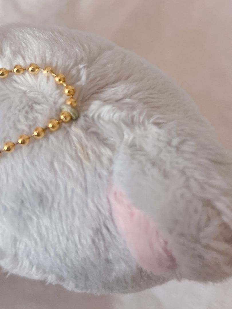 コリラックマ キャット キーホルダー