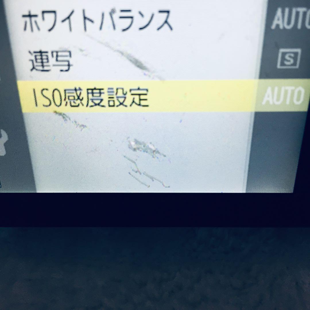乾電池式 箱付き Nikon COOLPIX A10 オールドコンデジ デジカメ