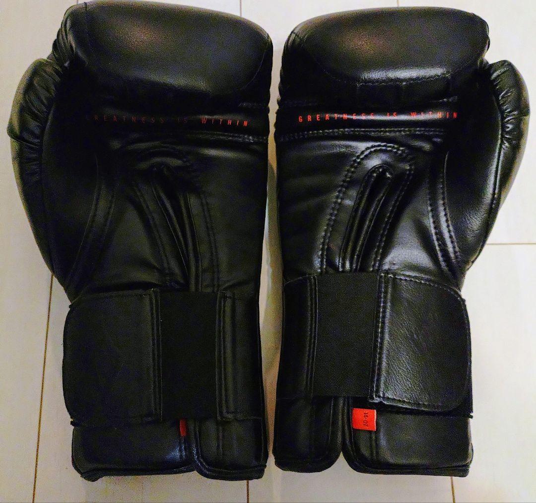ＥＶＥＲＬＡＳＴ ＰＲＯ　14oz