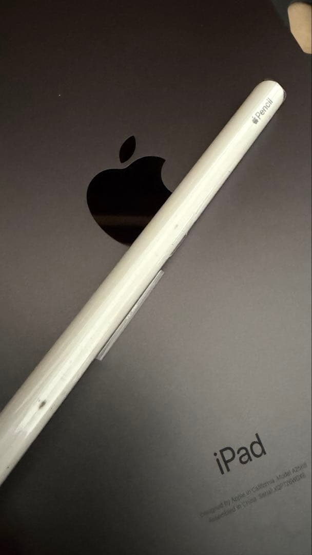 iPad mini6(第6世代) スペースグレー + Apple Pencil2