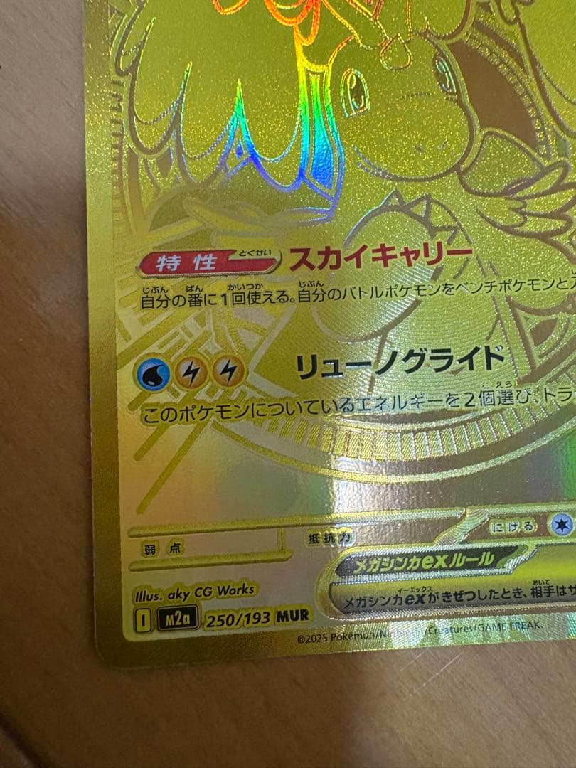 山*本様 メガカイリュー-ex MUR！