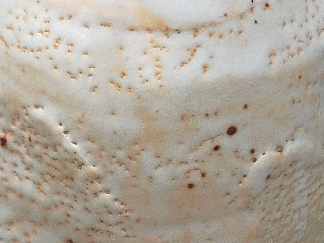 ♥美濃焼　志野　林正太郎　花瓶　高２６５ｍｍ　花器