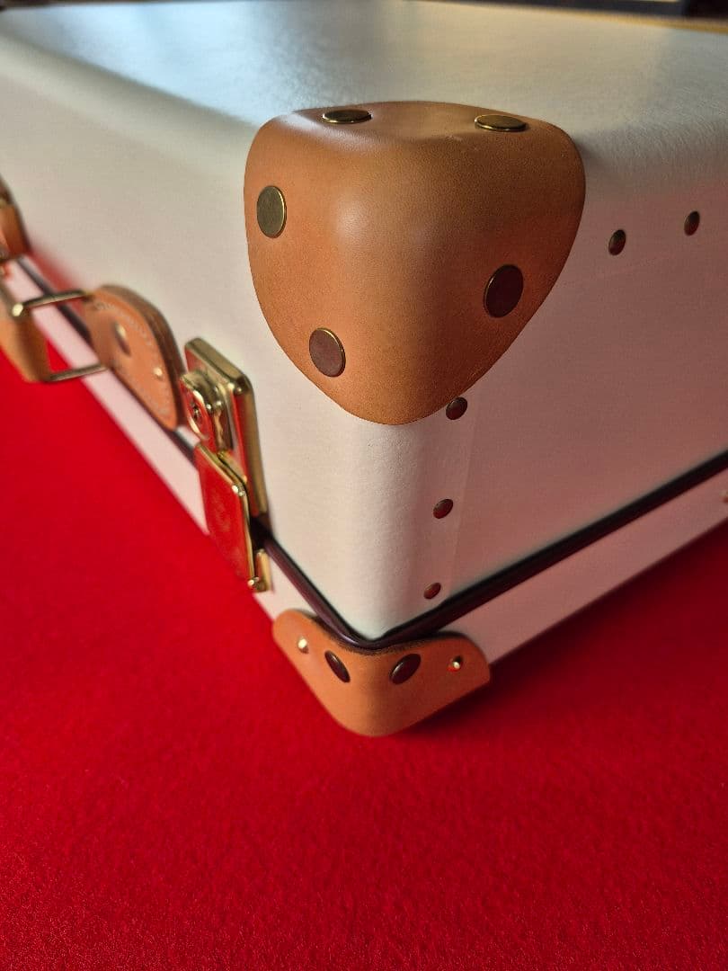 グローブトロッター「サファリ」エアキャビン