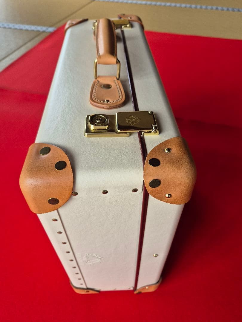 グローブトロッター「サファリ」エアキャビン