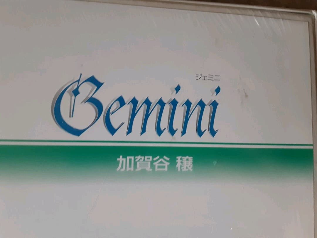 KAGAYA　双子座12星座パズル the Zodiac 1000P オリジナル