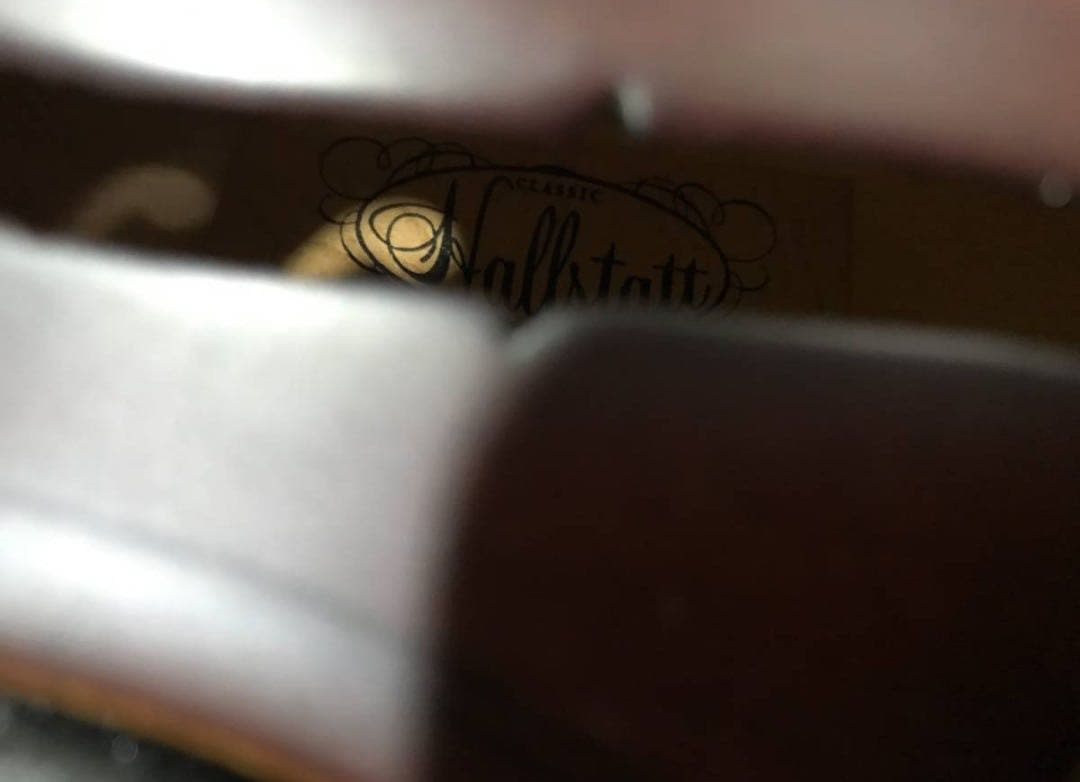 バイオリン本体 ブラウン ハードケース付き