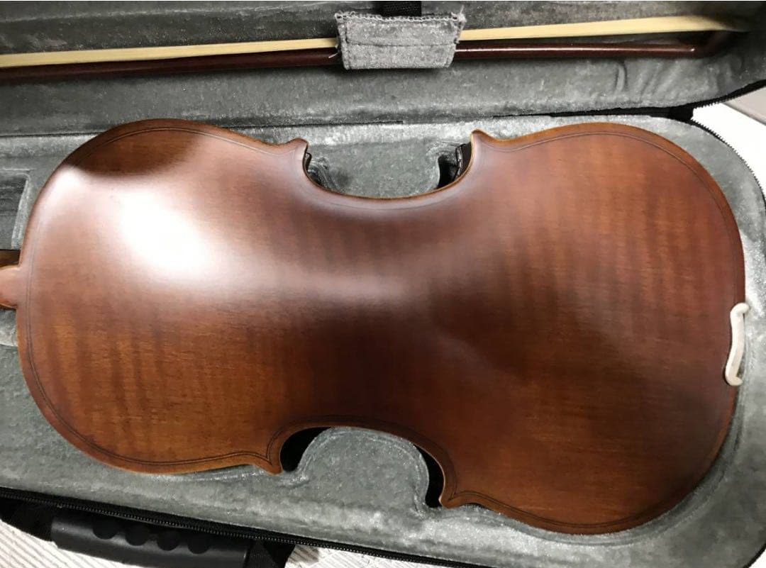 バイオリン本体 ブラウン ハードケース付き