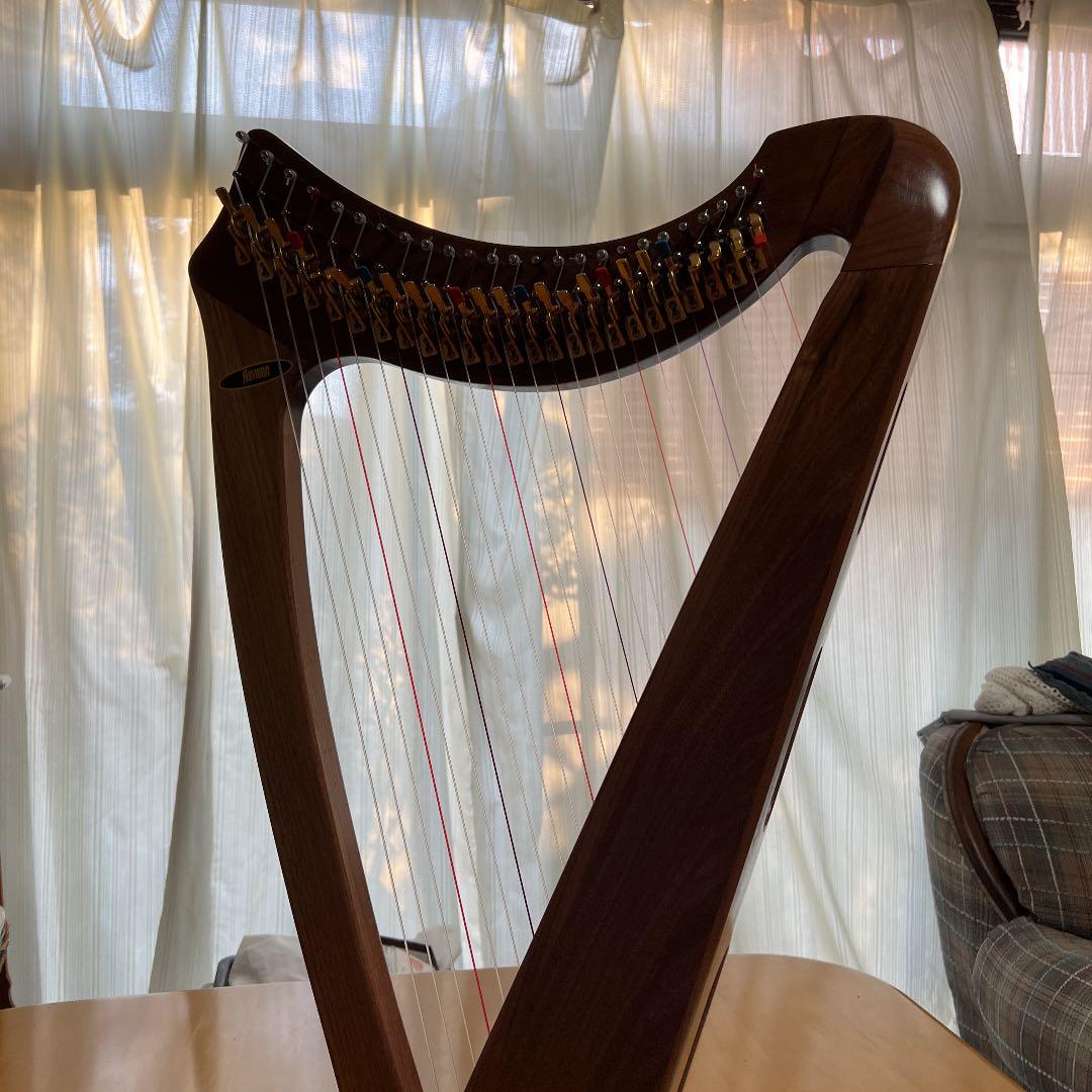 【⠀青山ハープ 】サウルハープ25弦