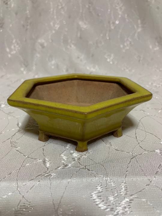 美芸　盆栽鉢　六角
