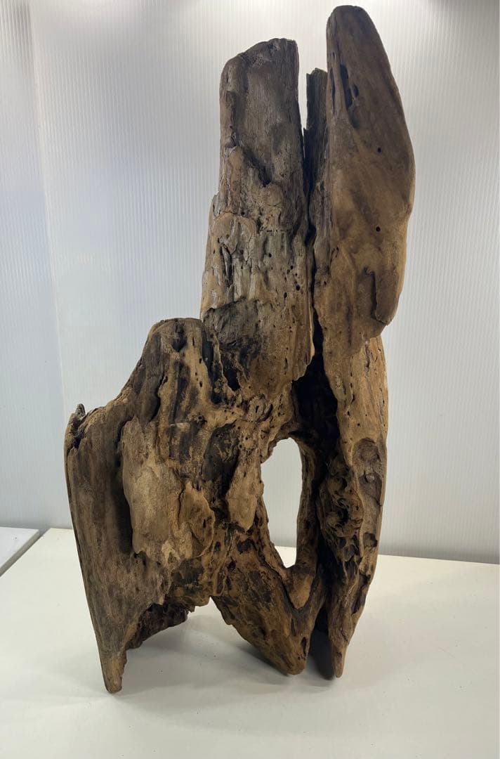 W28特大流木アク抜き済み流木 爬虫類シェルター 登り木 インテリア 生け花