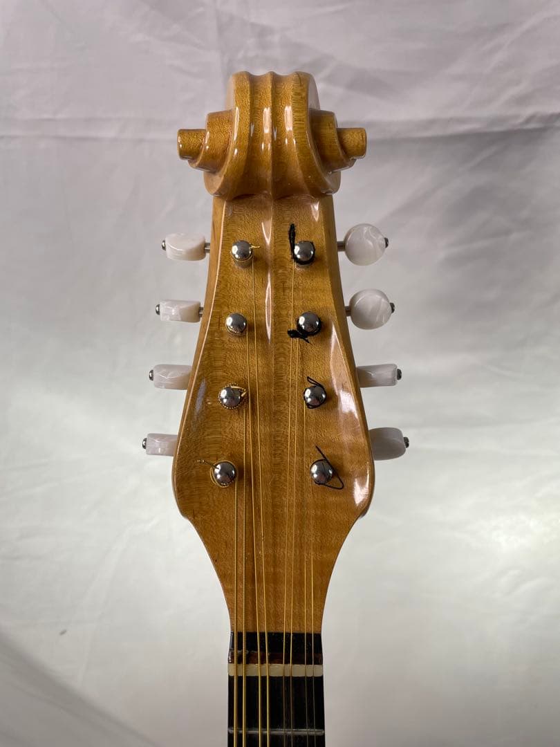 sound ena サウンドエナ M-200 最上位機種マンドリン