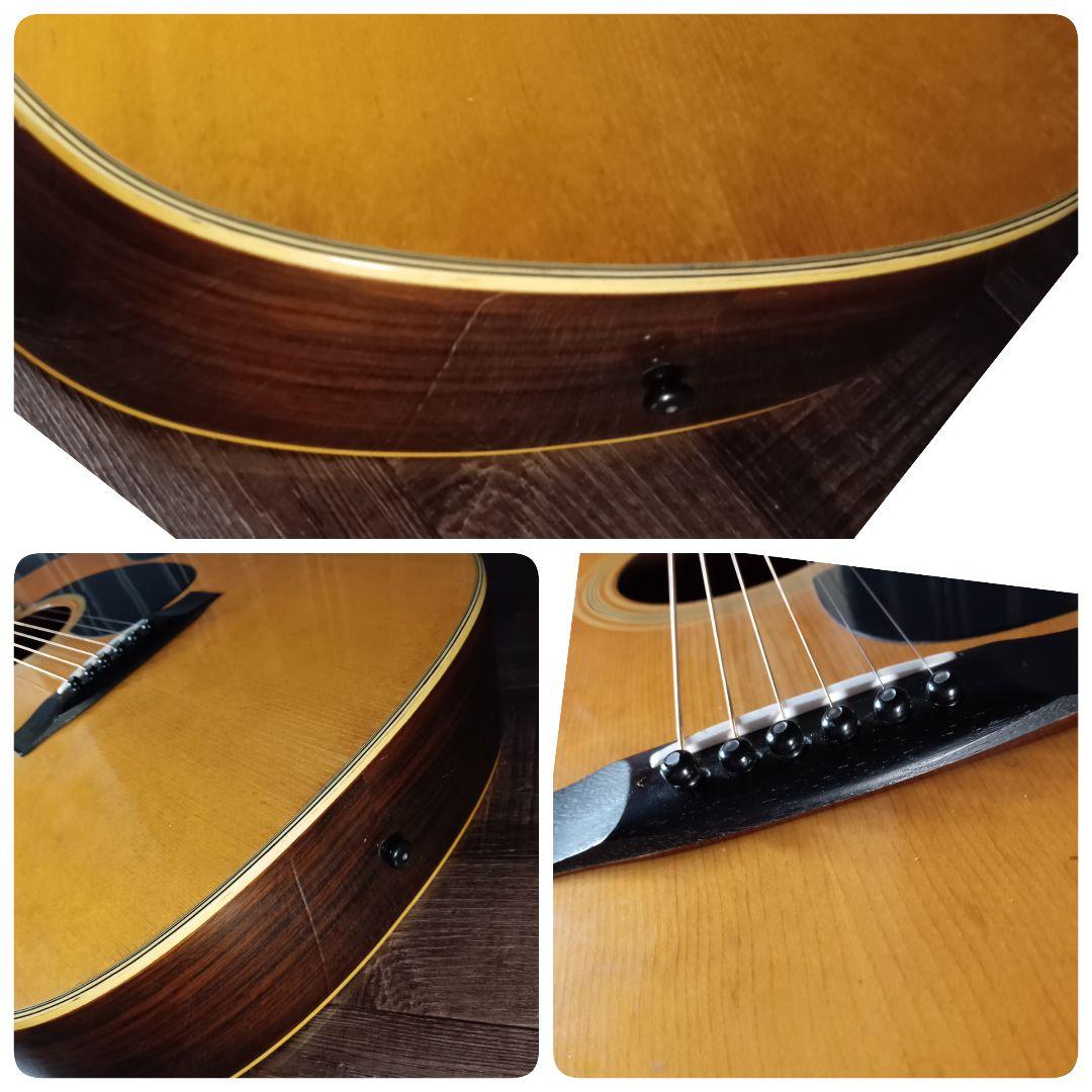 常田大希使用モデル morrisアコギ F-20 ギター KingGnu