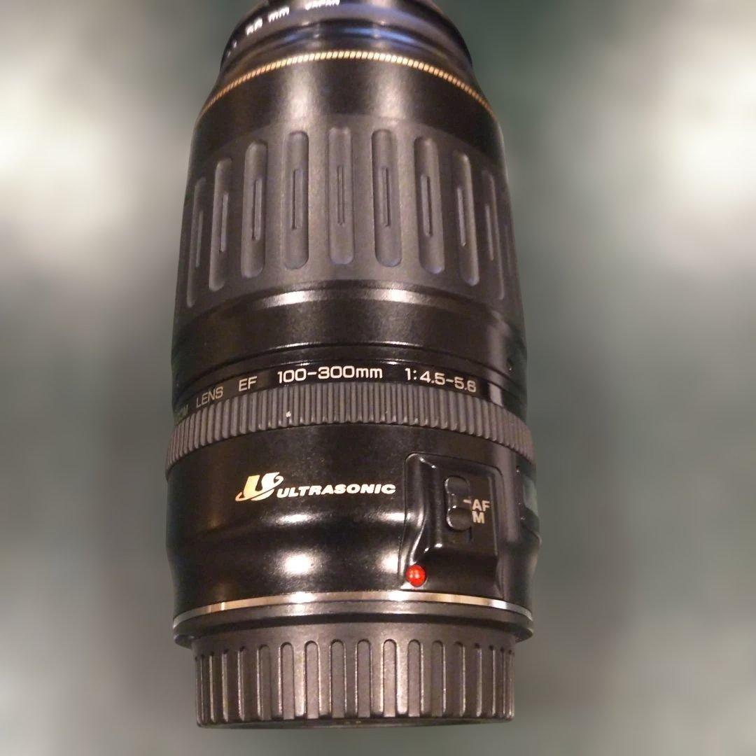 Canon 100-300mm ウルトラソニック ズームレンズ