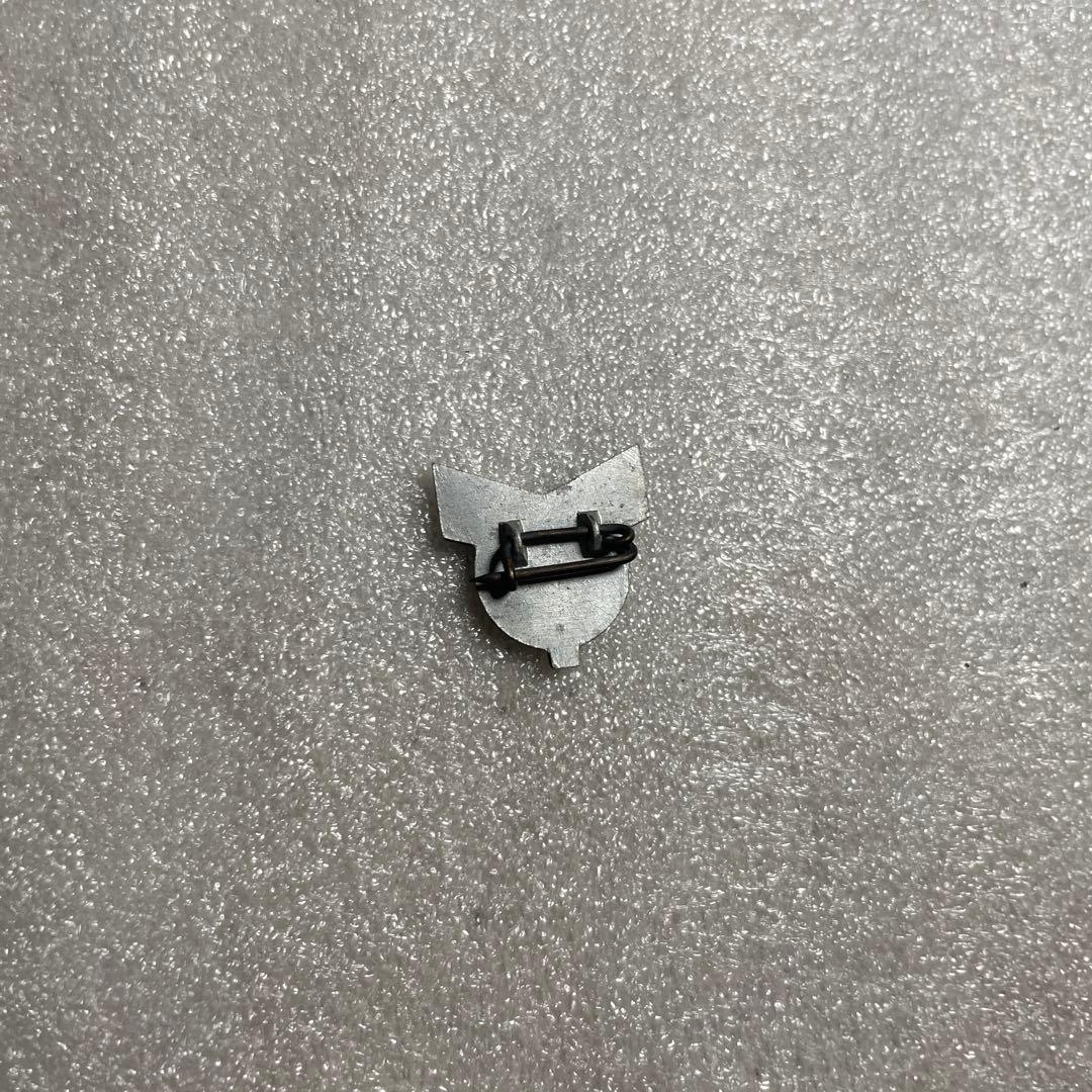 【極稀少】第九回 逓信記念日 逓信従事員標章 木箱・説明紙付き 逓信省 記念章