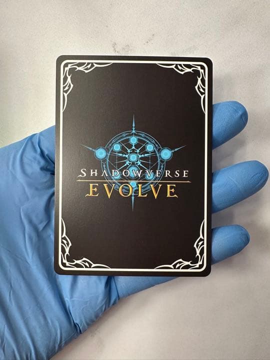 シャドウバースエボルヴ ウマ娘　ダイワスカーレット　SP サイン