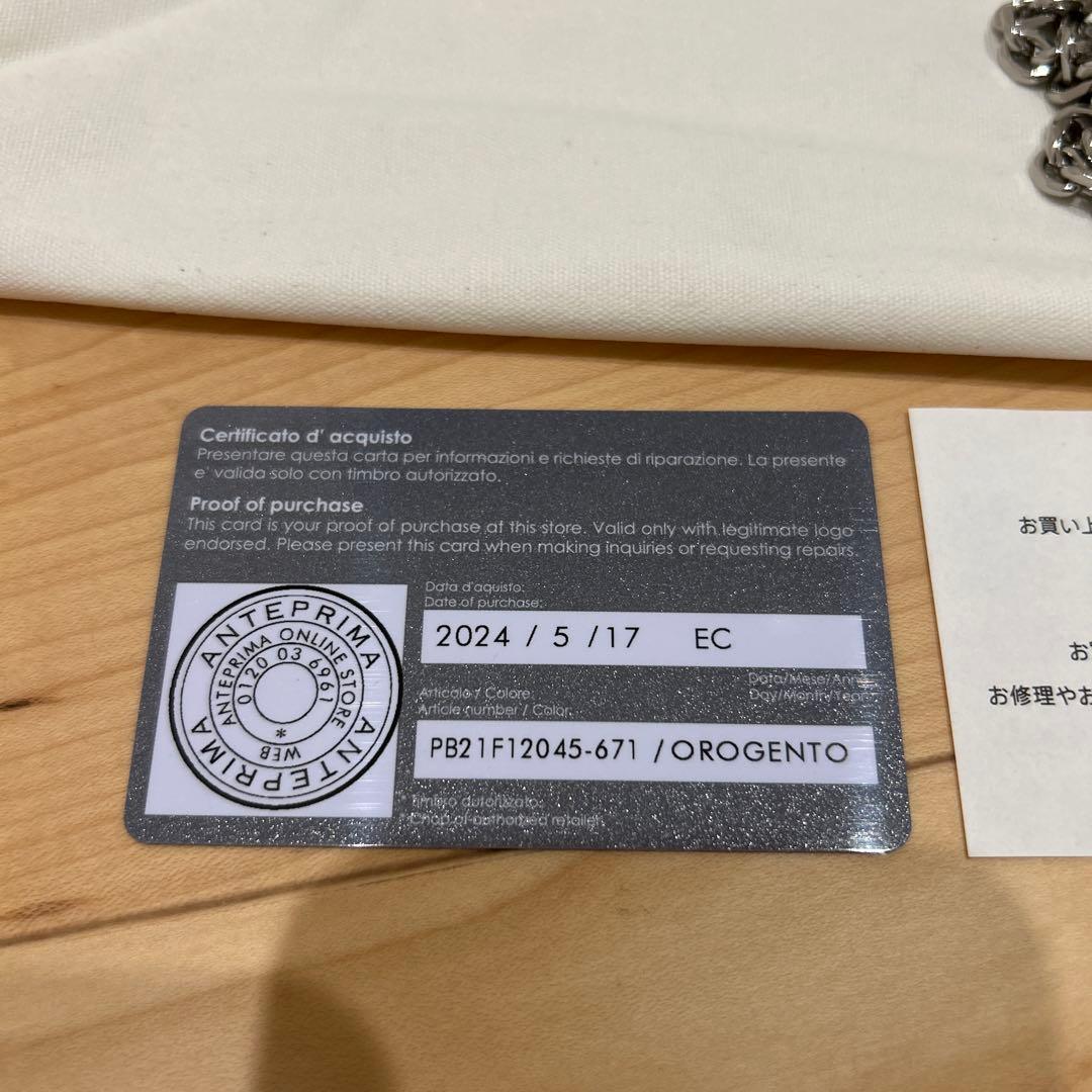 ANTEPRIMA ワイヤーバッグ ミニアトゥーラ シルバーゴールド