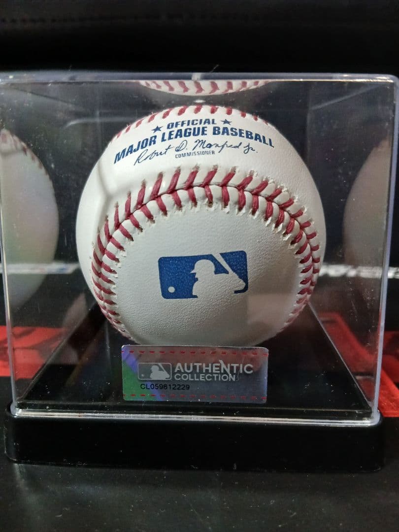 2025　大谷翔平選手　直筆サインボール　ドジャース　ケース付き