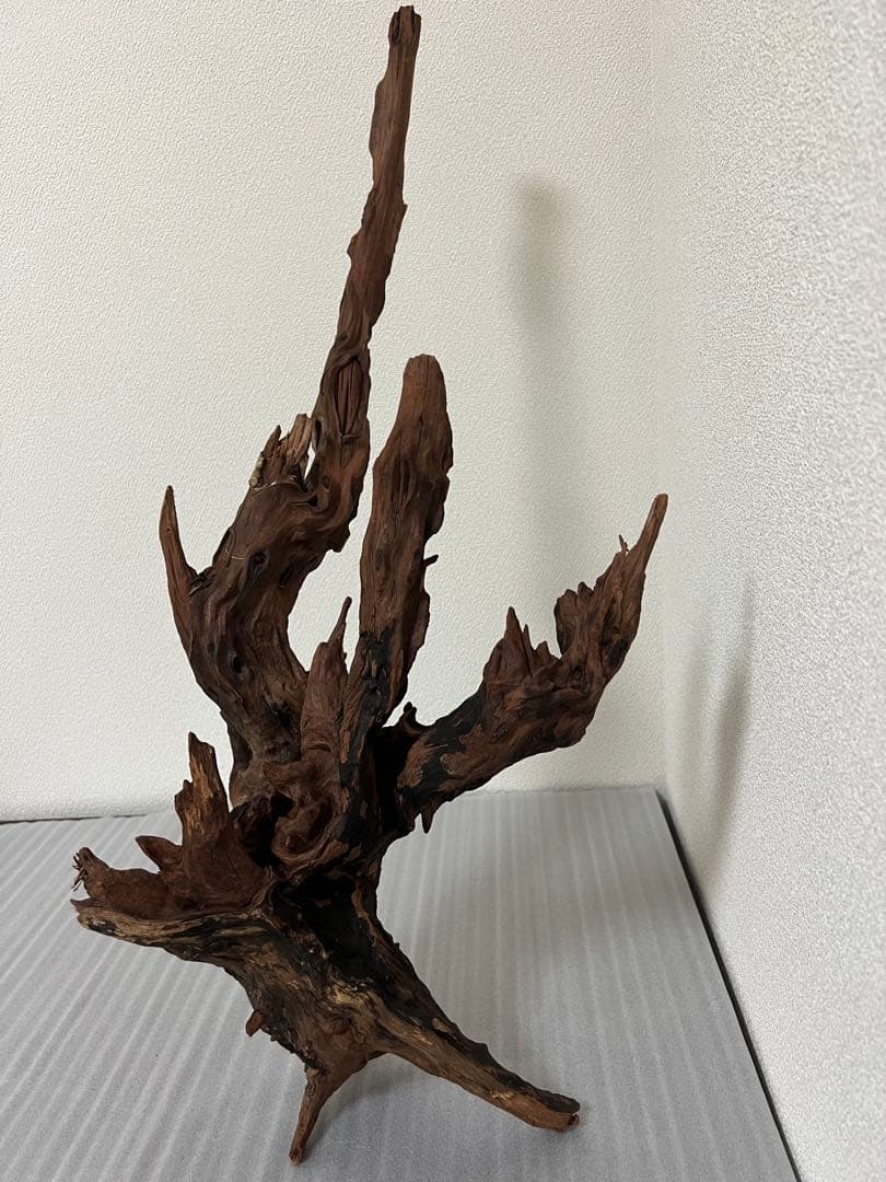 HX-080 流木　ホーンウッド　マシンガンウッド　アクアリウム　ブランチウッド